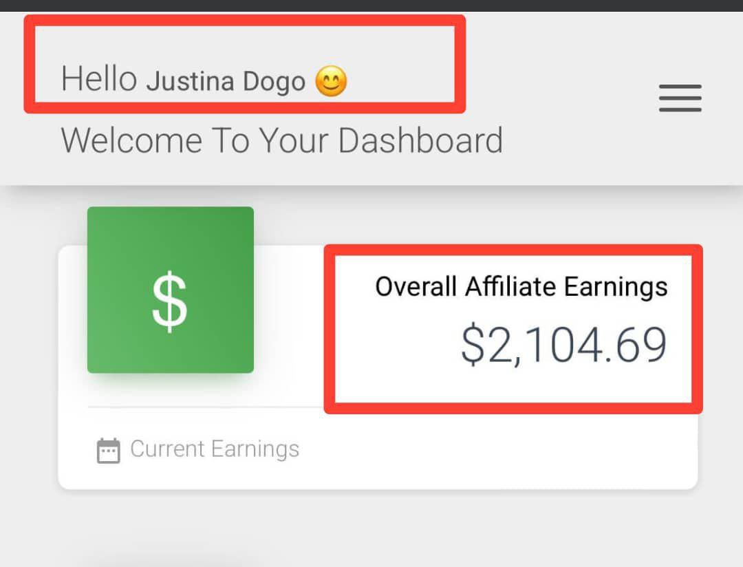 Dashboard earnings screenshot