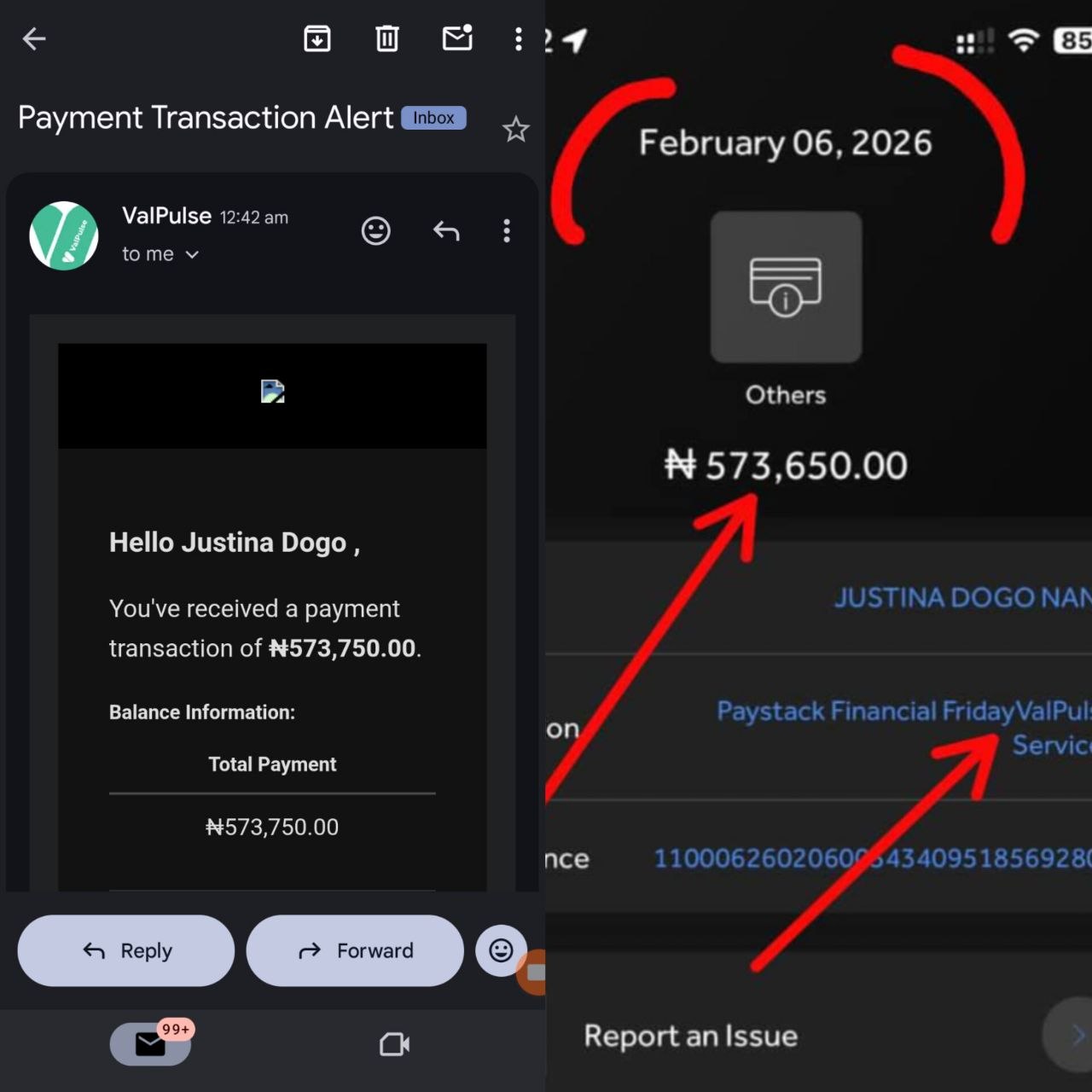 February payment transaction alert